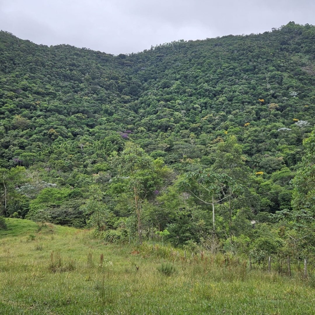 2024-2025_ONG_Projetos_PORT_Geral (2)_page-0001